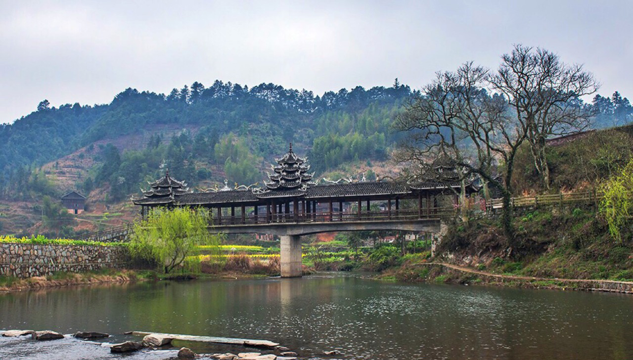 1508382037.jpg 01ad4cf69464a61c552820c100d7ae69.jpg